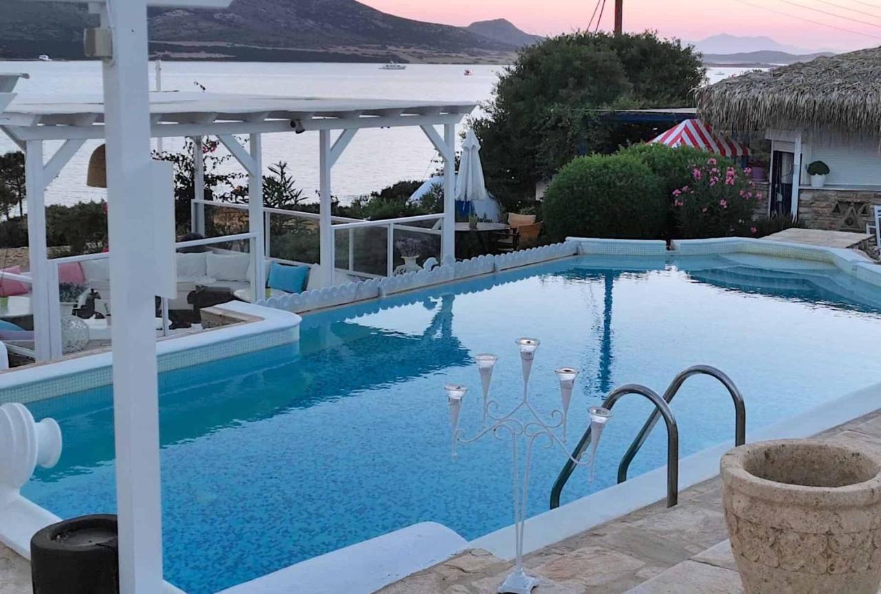 Blue Dolphin Antiparos And
